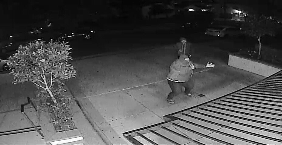 MattrKing's tweet photo. suspect #1 who stole zane's jeep
- questionable gender
- wears sandles 
- can fit in a cardboard box
- can open gates with their mind https://t.co/esf2eDPjGB