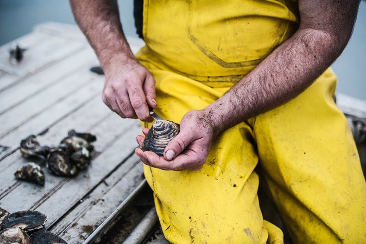 Alana Dimou visited <a href="/Ewan_McAsh/">Ewan McAsh</a> with Sol Botanica chef Perry Hill. And the results are breathtaking. #oysters #farmlife #ewanmcash