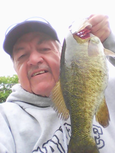 BassFishnTips tweet picture