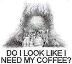 StephenStKit's tweet image. First day back in the office - We are open and know what you need #coffeefix #breakfast #motivation