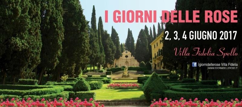 L'atmosfera magica di #VillaFidelia, immersa nei colori e profumi di "I giorni delle #rose", 2-4 giugno #Spello
bit.ly/giornidelleros…