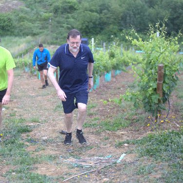 trailsungsara's tweet photo. Están los del equipo #salomon y luego los #nomolas (al revés) así vamoooooos!!! 🤣 https://t.co/yjeRPryTH8