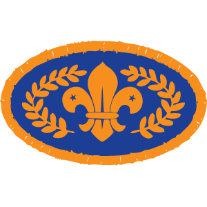 8th_bexleyheath's tweet photo. Four of our Beavers were awarded there Bronze award - Congratulations to; Hollie Wooton, Alfie Drummond, Zander Lee and Ronan Huston. https://t.co/RmOFWV7HBT