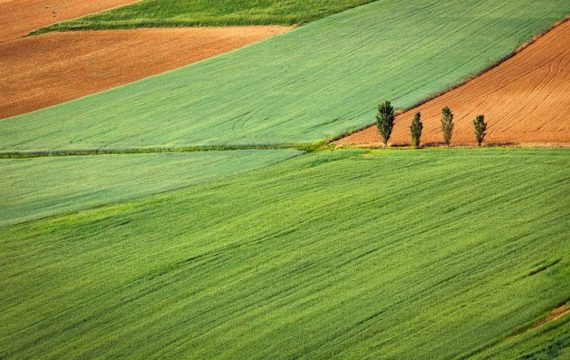 reformsguide's tweet photo. Government discusses principles of land reform
https://t.co/ruoTEZXs8X #reformsguide #reformsinukraine #reforms #land #ukraine #economics https://t.co/KeUQSidbrm