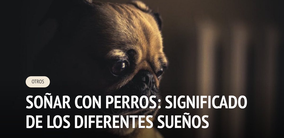 petxicanito's tweet photo. ¿Has soñado con perros? No sabes de lo que te estás perdiendo https://t.co/GicgSgPTSP https://t.co/O8hUGSqC1d