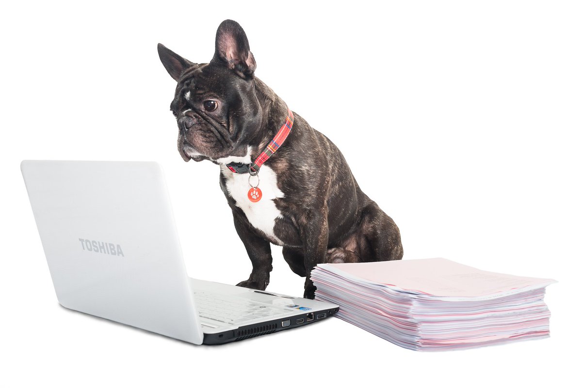 Landlords can now manage their Utilities on Line
and its free!!!
#TuesdayMotivation 
#landlords
#landlordtweets
#Yorkshire