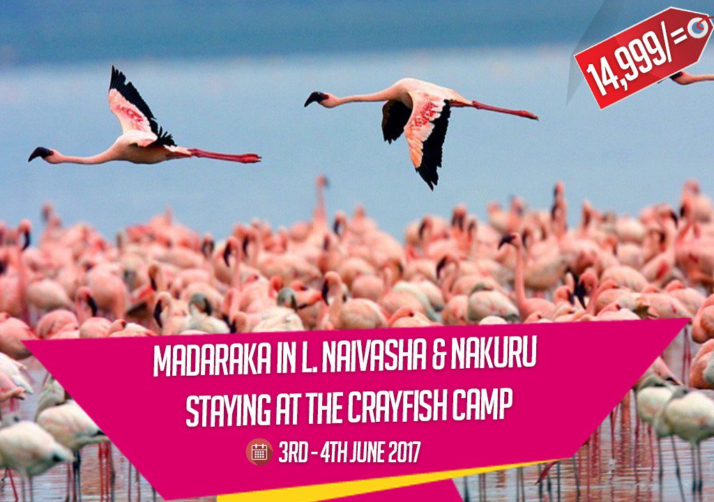 DestConnect's tweet photo. This Madaraka Weekend we have FOUR amazing packages for you and your loved ones to choose from. Have a look and Book!! #TembeaKenya https://t.co/oQlK3HIns5