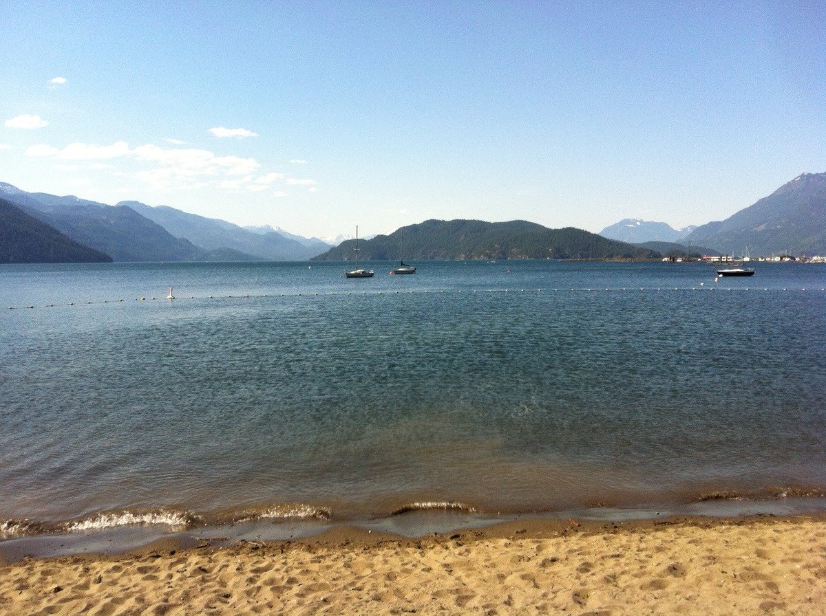 First 'swim' of the year: +30 outside, +12 in the lake. Needless to say, it was a very fast dip! #HarrisonLake #MaySwim