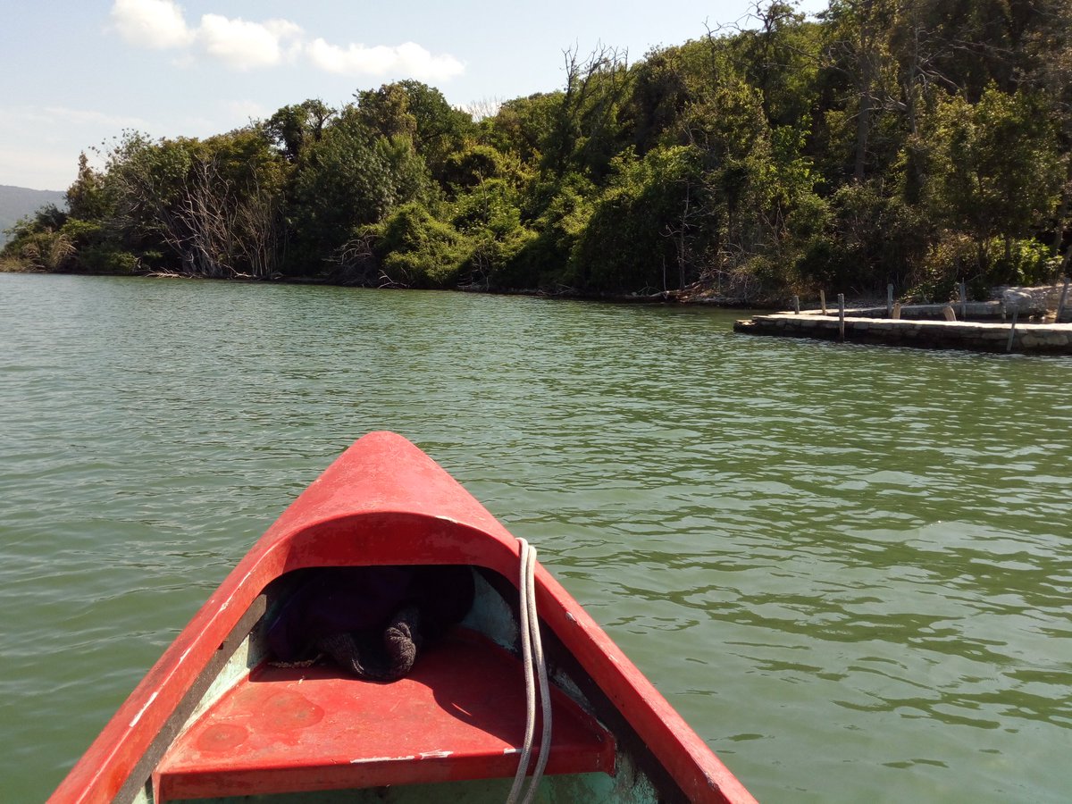 Oasilavalle's tweet photo. #Monitoraggi  in atto al #Trasimeno: #censimenti degli aironi presso Isola Minore e La Valle. A breve i  risultati #TrasimenoLake #ardeidi https://t.co/G0CECGh5ul