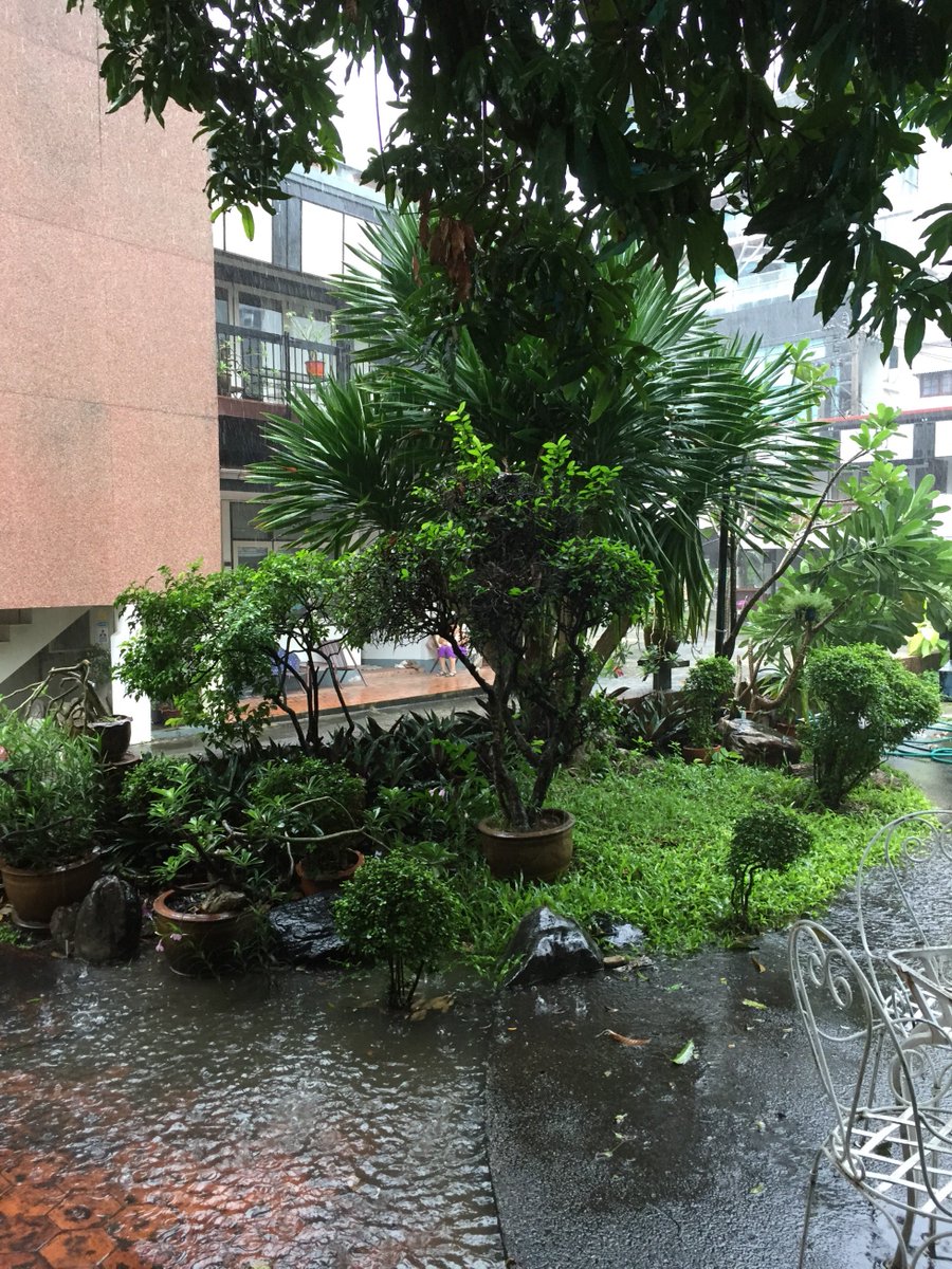 #raindrops never afraid of #Falling 🌧 #rainyday in #Bangkok