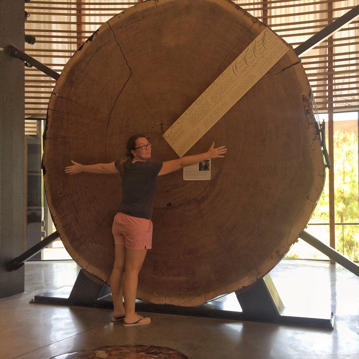 julekap's tweet photo. I had a great morning at the Tucson @TreeRingLabUA with a tour through the impressive archives. Thanks to Stefan and David! https://t.co/D3bITdWBEs
