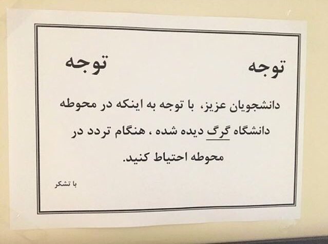 اِ ليدل بلو tweet media