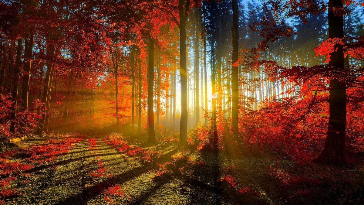 Coachwarehouse's tweet photo. Looking for Harmony and perfection? Look no further than mother nature #coachingwarehouse #lifecoach https://t.co/rv5Sv6OjEc