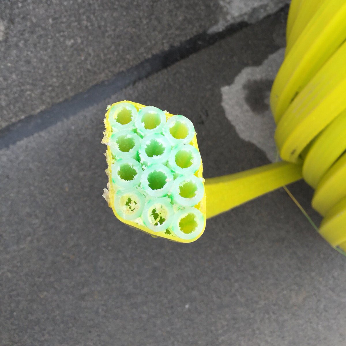 milko ilari tweet media