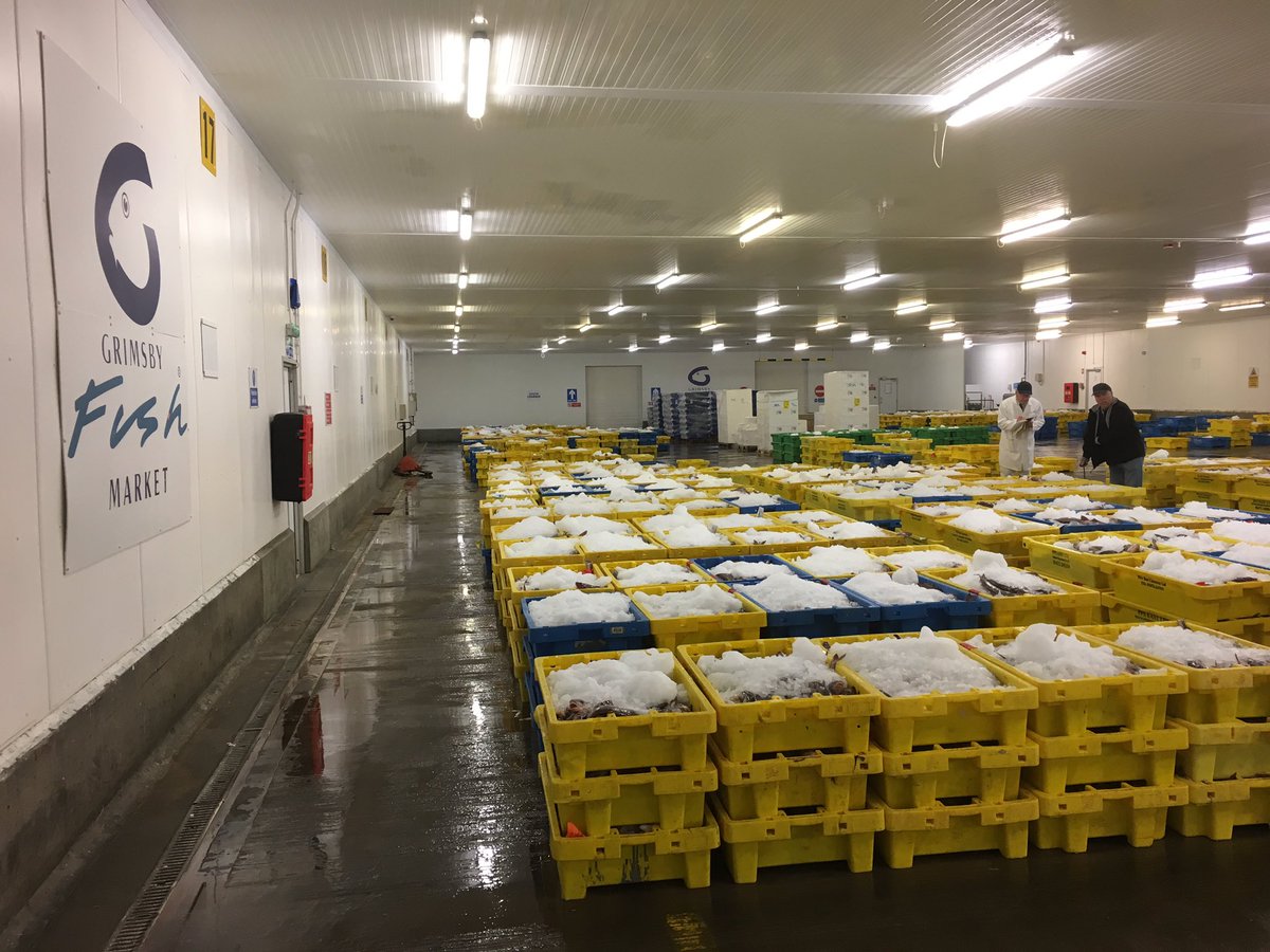 martynboyers's tweet photo. Back after the Bank Holiday to a busy Market! Trade is brisk! Plenty of choice! Fish from Iceland,Faroe, Denmark,Scotland and Irish! https://t.co/AmTfWfQ52d