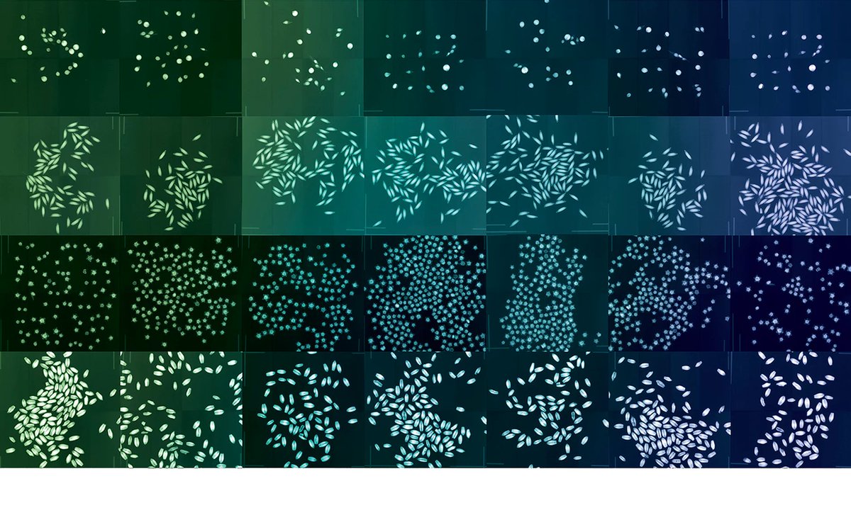 mixdevil66's tweet photo. Eden on ice: #seed #banks:#DornithDoherty’s pics inc. the Svalbard Global Seed Vault, recently breached by meltwater https://t.co/AHQM31EecT https://t.co/cDiFIfkWZH