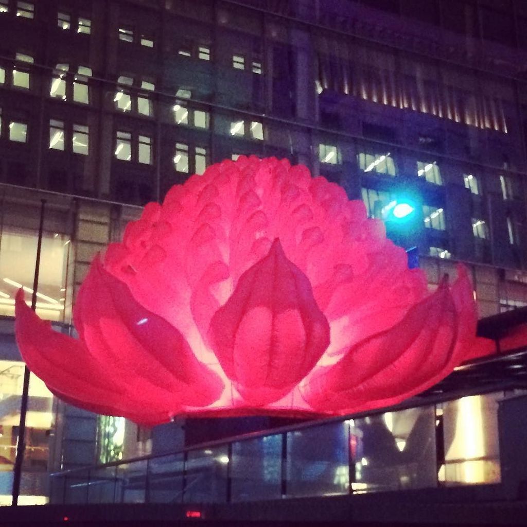 worldclasskid's tweet photo. Aaaaahhh Vivid Sydney🌹🌹🌹 #vivid #flowers #love #light #sydney #worldclasskids #instagood https://t.co/QM6kdKcmvQ