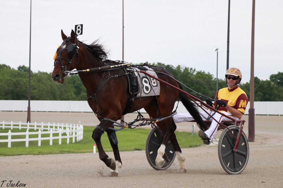 hoosiernations's tweet photo. Good Morning @Chris_wponies @JoannKi32885615 @Healinwaters11 @rebelsart @vnssa926 @kimberlymoier @dolenski_john #PostRoute #PlayHP https://t.co/f424T1yasG