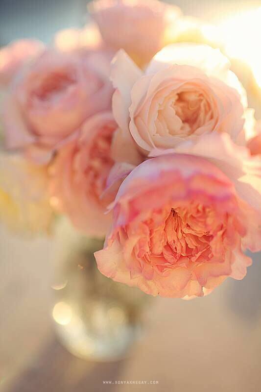 Buenos días con #flores naturales que gracebridalindustries.com puede transformar en tu #accesorio perfecto .
Visítanos!!!!!