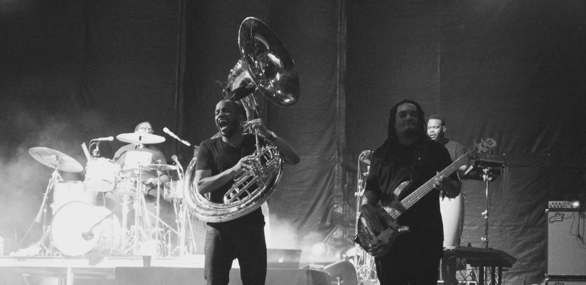 Cat Brewer tweet media