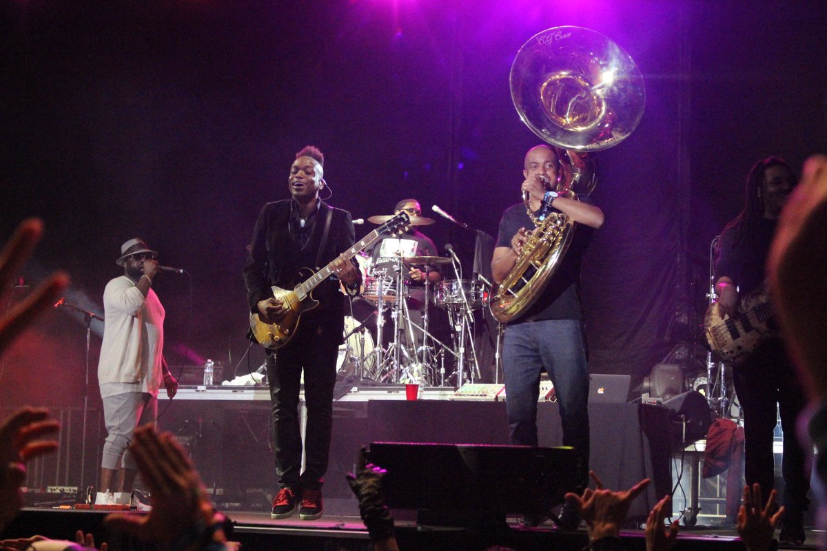 Cat Brewer tweet media