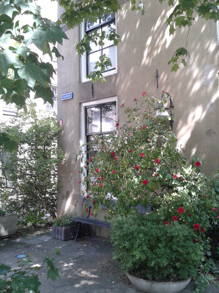 Mooie plekjes in de binnenstad! #despontanestad