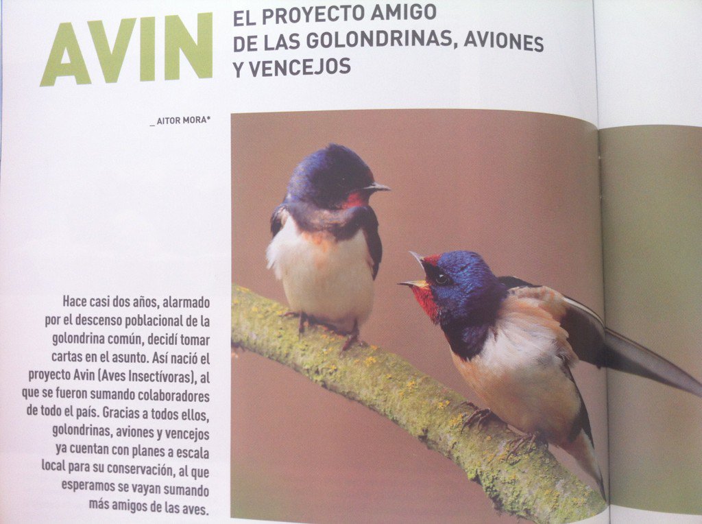 luismartzmartz's tweet photo. Las golondrinas también tienen sus héroes. Desde @MasDeUno en @OndaCero_es  conoceremos la historia de @mora_aitor y @proyectoavin https://t.co/dx0V7VjieX