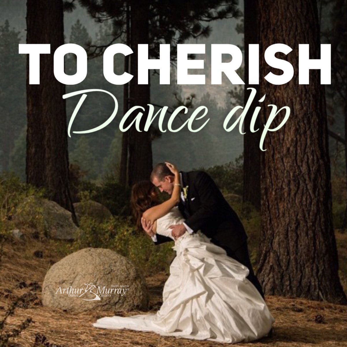arthurmurrayns's tweet photo. Cherish every moment on your wedding day. Have your first dance prepared and ready. #cherish #wed #wedding #details #arthurmurray #dancedip https://t.co/NcODpFoPn5