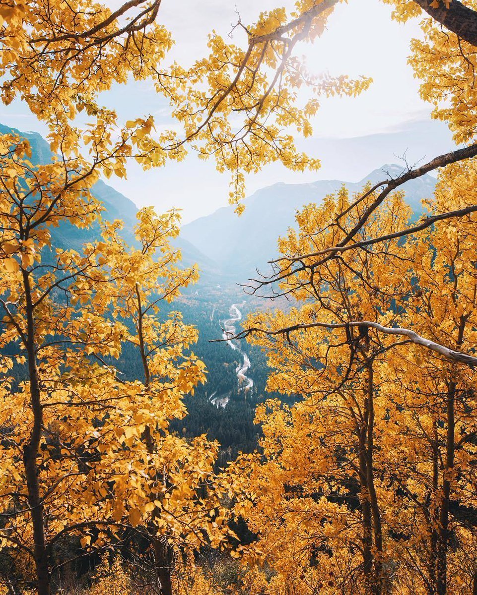 GreatPlacesOnly's tweet photo. "Look deep into nature, and then you will understand everything better." - Albert Einstein https://t.co/0td18gGvuj