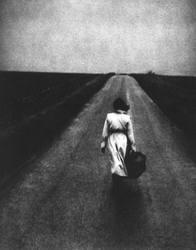 DanniSr8's tweet photo. 🌿Si la modération est une faute,
  Alors l'indifférence est un crime.

Jack Kerouac https://t.co/jXh9vkxbU9