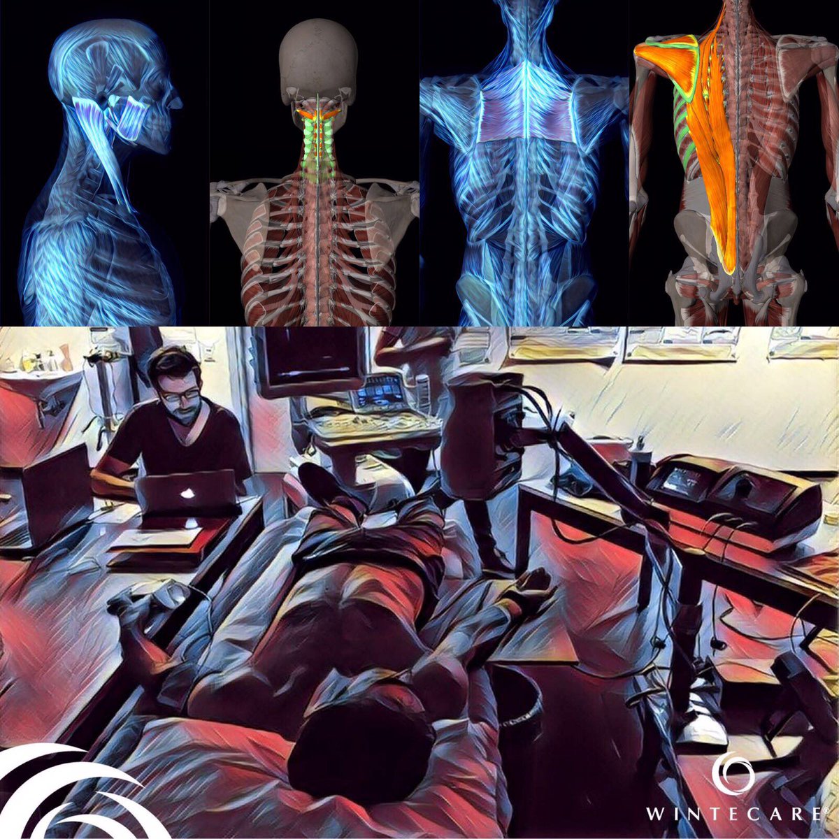 Our name is inspired by what we do.
Winning technologies and techniques for healthcare.
WINTECARE