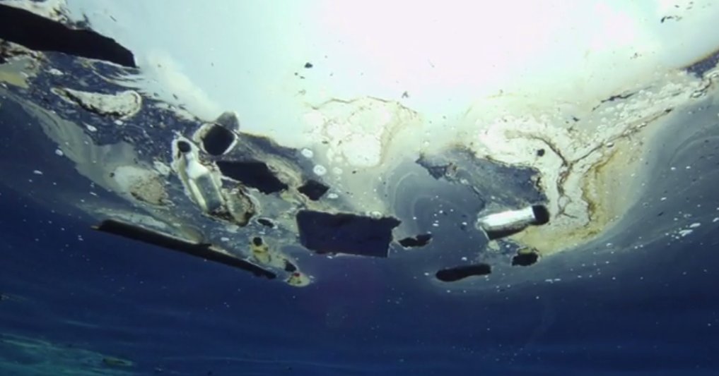 DrDavidHulme's tweet image. #Plastic #pollution doesn’t just make for an ugly beach day. It’s contaminating our food chain lat.ms/2qAGfQU #twitter