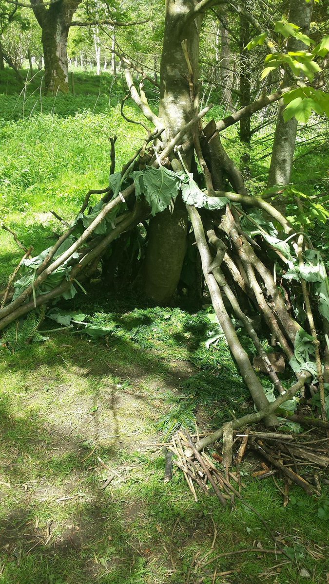 kilnseypark's tweet photo. Go Wild Week is in full swing! Despite the rain we have so much adventure planned, from den building to mud pies https://t.co/PyFhgQEjip https://t.co/YpFuCvkQIO