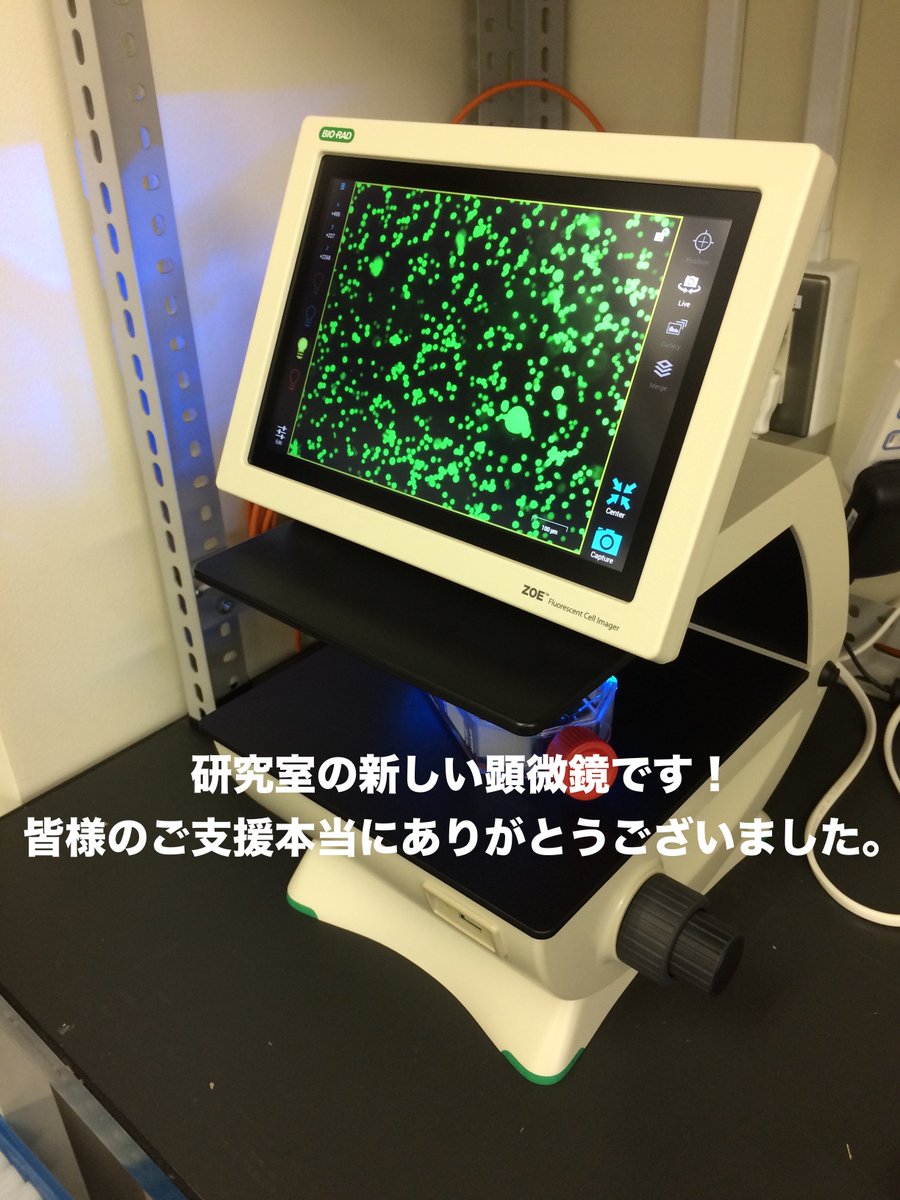 KomatsuNorioLab's tweet photo. New microscope coming!!
クラウドファンディングで集まった資金を、購入資金の一部とし、【骨髄増殖性腫瘍の発症メカニズムの解明に挑む！】にも使用予定であった蛍光顕微鏡を購入いたしました！皆様のご支援本当にありがとうございました！ https://t.co/GvhJAPV9T9