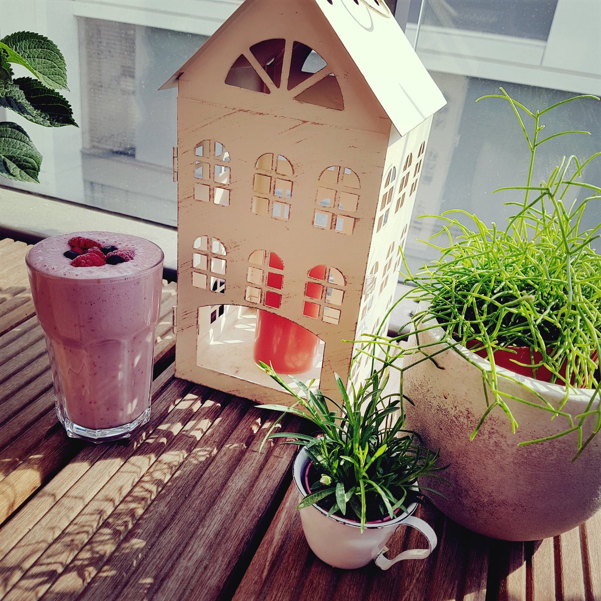franbrinkworth's tweet photo. Another gorgeous day in Berlin 😍

#LYB Frozen Raspberry Coconut Shake 🌺🌴 to keep me slim for summer and to help me smash out #MissionAbs 😜👙 https://t.co/UquioybjFx