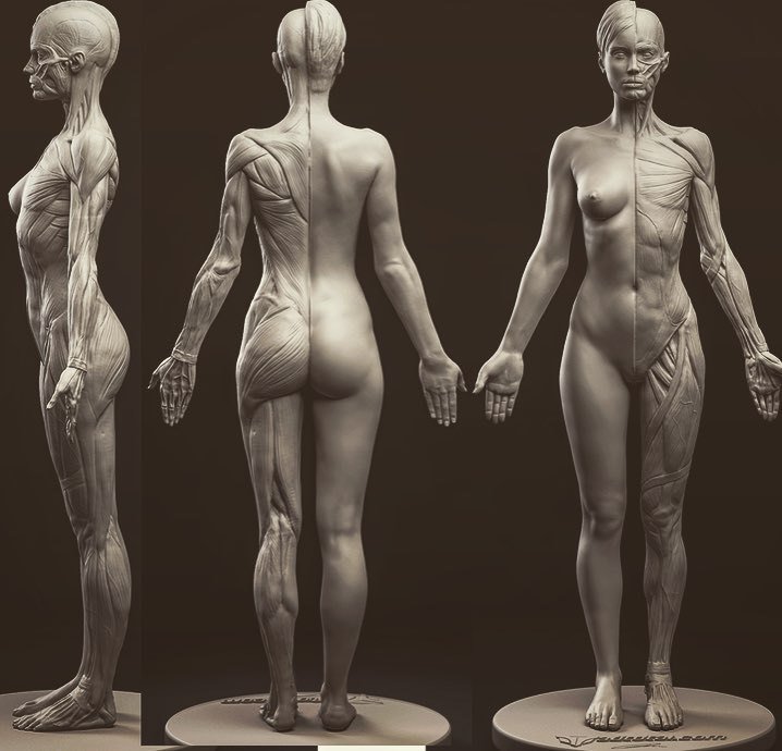 First tests for the female figure back in 2014 time flies! 