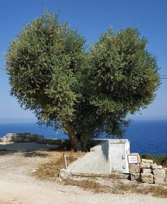 Without words. Only love.Of course it is Puglia #Apulia  #Your  #minimal  #Travel