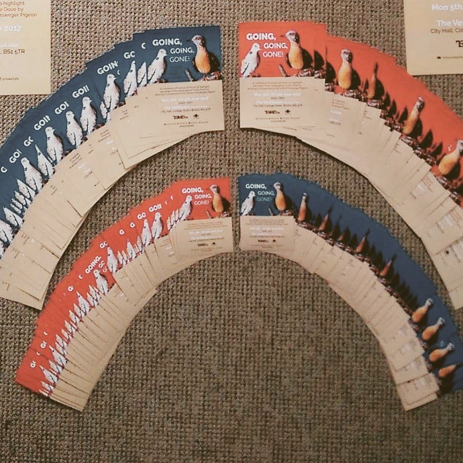Rewild_Life's tweet photo. Distributing flyers this week in #bristol for exhibition @TheVestibules. Look out for the #surprise attached to them :) #saveturtledoves https://t.co/1ptXipSqDg