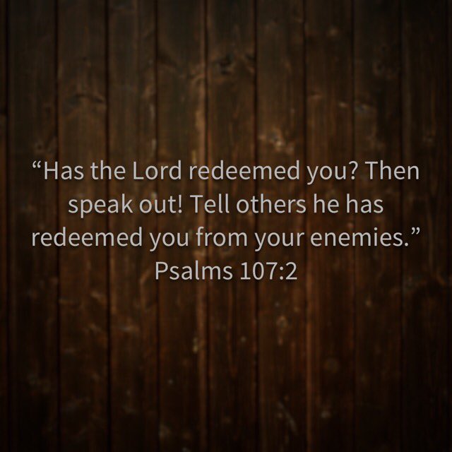 David Fedele tweet media