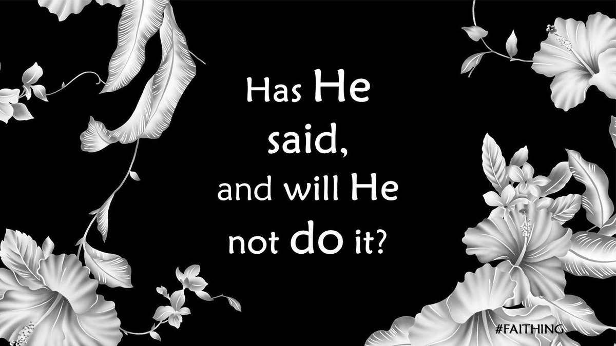 things_faith's tweet photo. What promise are you holding on to? Don't give up. #SurePromises #Faithful #Numbers2319 https://t.co/HgXDCkhKQP