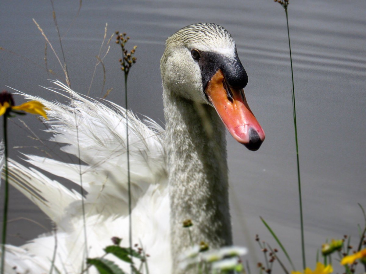 Mickel Word tweet media