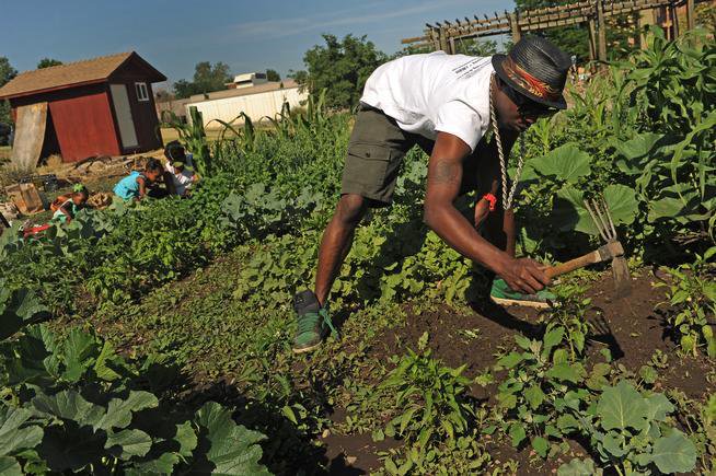 cuisinenoir_'s tweet image. From gang member to organic urban gardener, letef is heads up the Eastside Growers Collective. ow.ly/QAyq30c9gsc