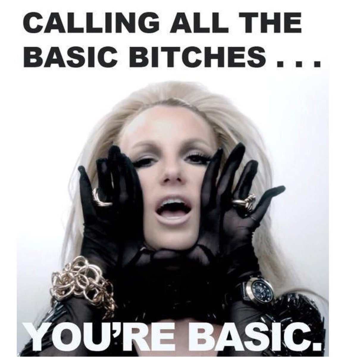 basic_bitches3's tweet image. 