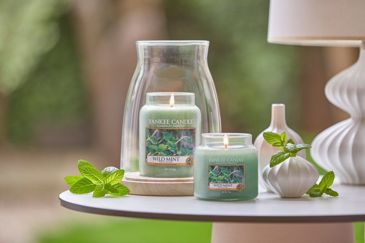 YankeeCandleEu's tweet photo. It's Mint Julep Day and we're celebrating with Wild Mint! https://t.co/Z2Hd7RTgvj https://t.co/n57d26SomV