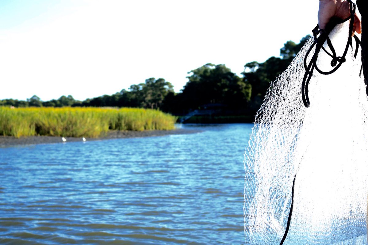 Cast Away! #stillnature #visitsavannah #visittybee @VisitSavannah Visit Tybee 
ow.ly/ITMS30c8F21