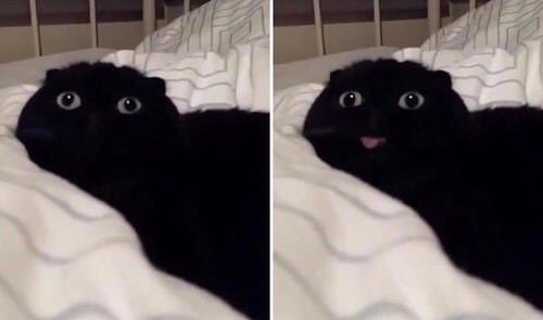 haterexe's tweet image. —. "тeмpυѕ eѕт ғυr."