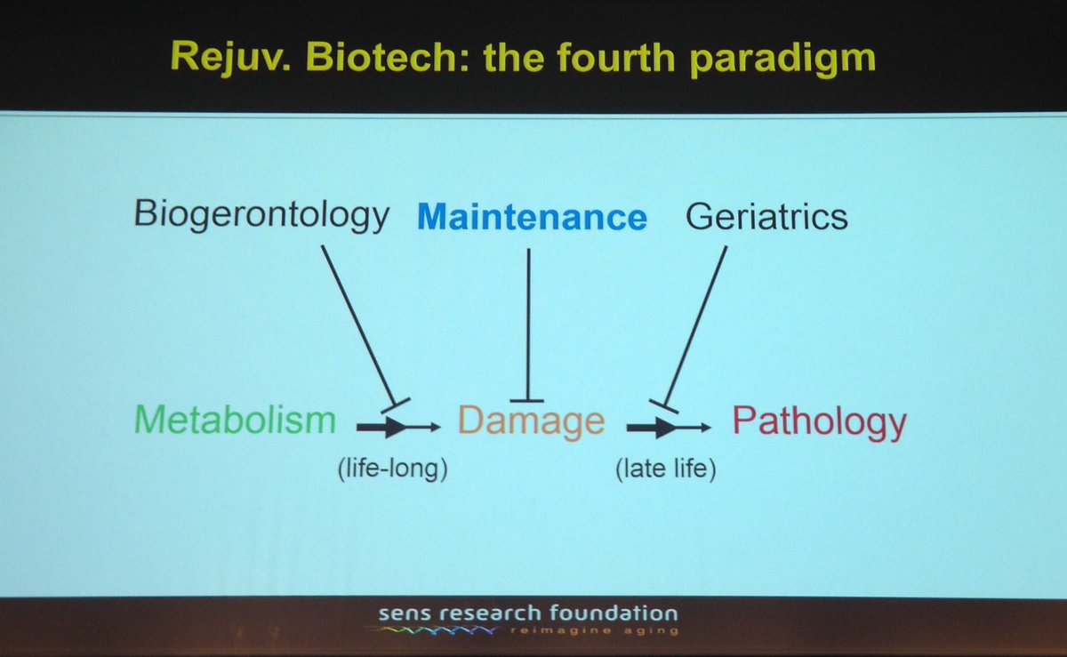 adrianafreitas's tweet image. At #Techlongevity event @aubreydegrey @senstweet
Working on repairing the female