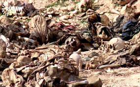 nareen_shammo's tweet photo. This morning #Yazidi and the official Iraqi army found 5 new #Yazidi mass graves in girzarik and Siba valliges southern #sinjar . https://t.co/EZdL9bFMjm