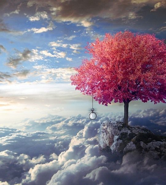 Donato Twitterissa Bastasolo Un Attimo E Tutto Puo Cambiare Precipitare Nell Abisso Volare Verso La Felicita Basta Un Attimo E La Vita Cambia Involosenzarete Https T Co Qfd2ca06gc