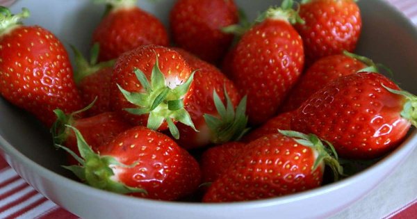 BuzzDe0uf's tweet photo. Une très mauvaise nouvelle pour les amateurs de fraises! - https://t.co/Yshma0RWAM https://t.co/sDcmQCgZum